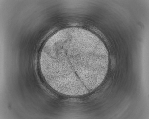 X0000112800482200910021123