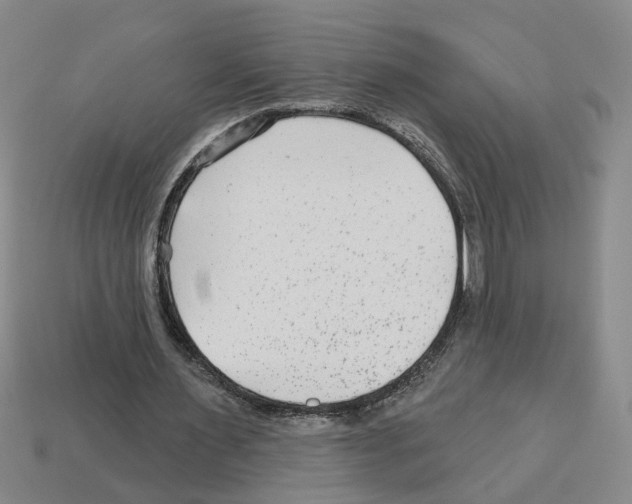 X0000112800483200910021123