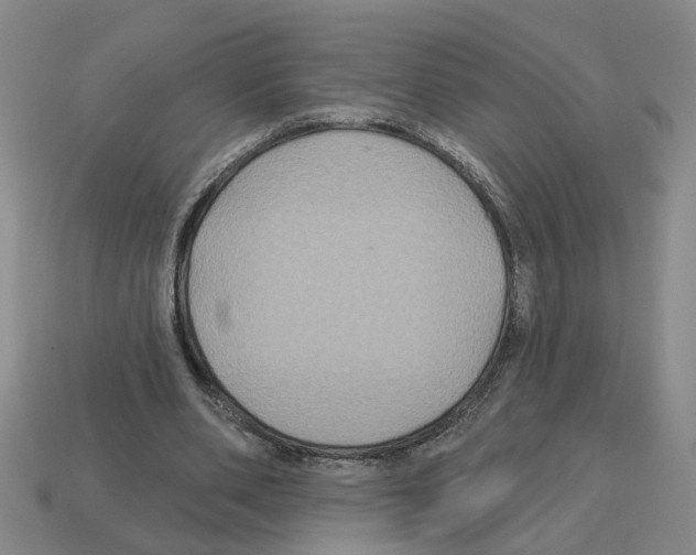 X0000112800486200910021123