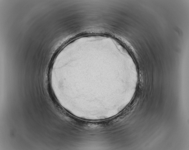 X0000112800487200910021123
