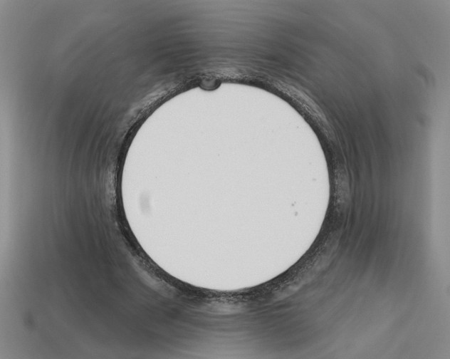 X0000112800489200910021123