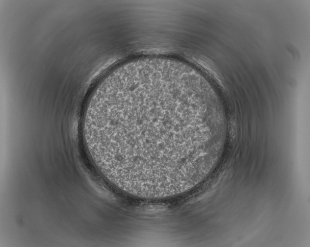 X0000112800491200910021123