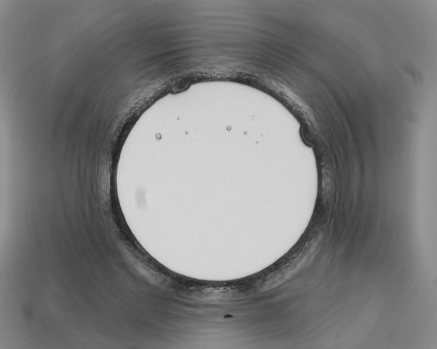 X0000112800493200910021123
