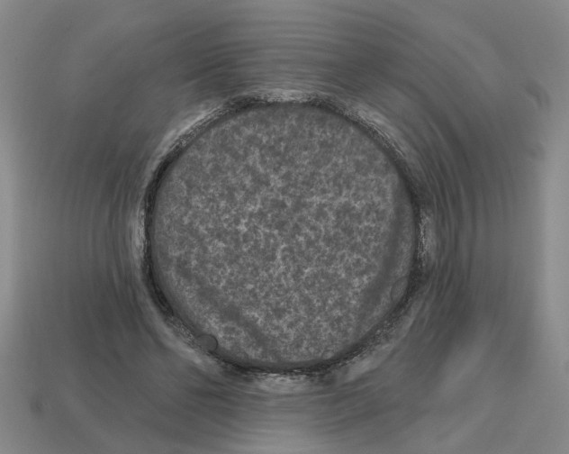 X0000112800494200910021123