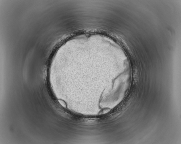 X0000112800495200910021123