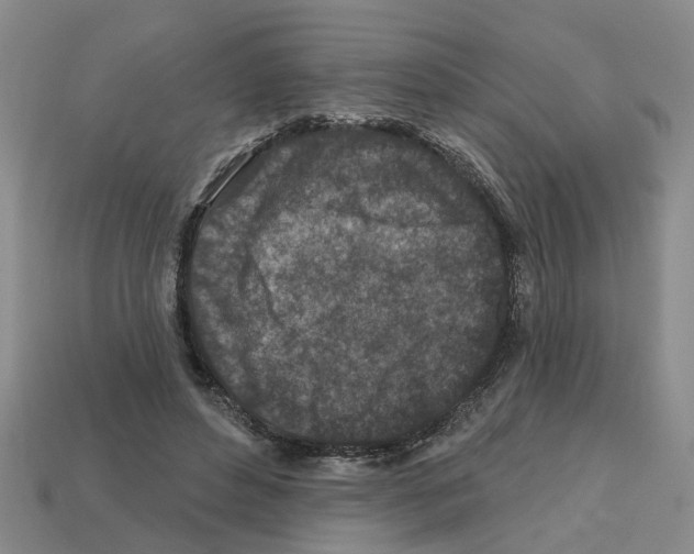 X0000112800496200910021123