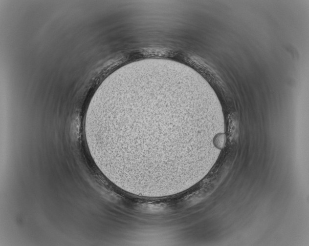 X0000112800498200910021123