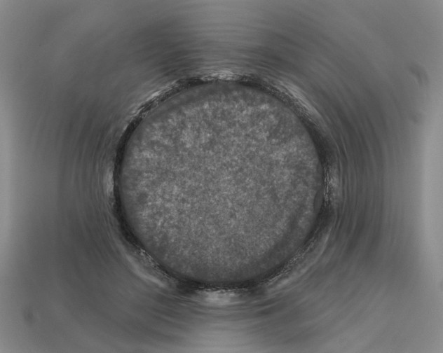 X0000112800500200910021123