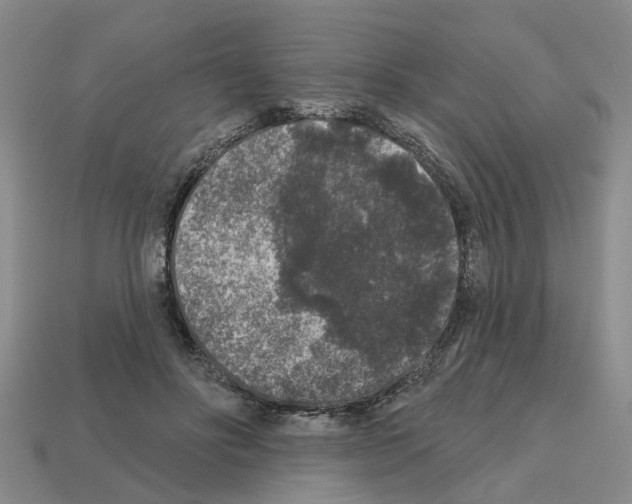 X0000112800502200910021123