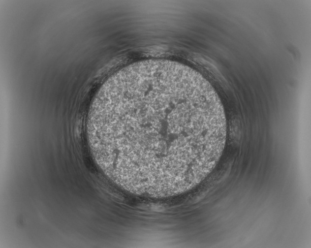 X0000112800503200910021123