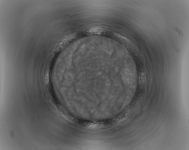 X0000112800504200910021123