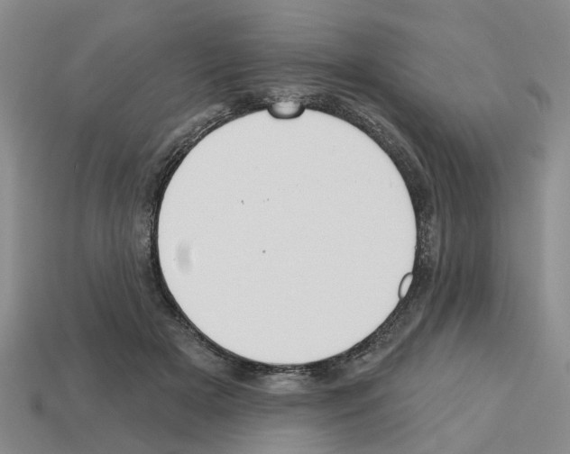 X0000112800505200910021123