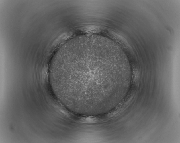 X0000112800506200910021123
