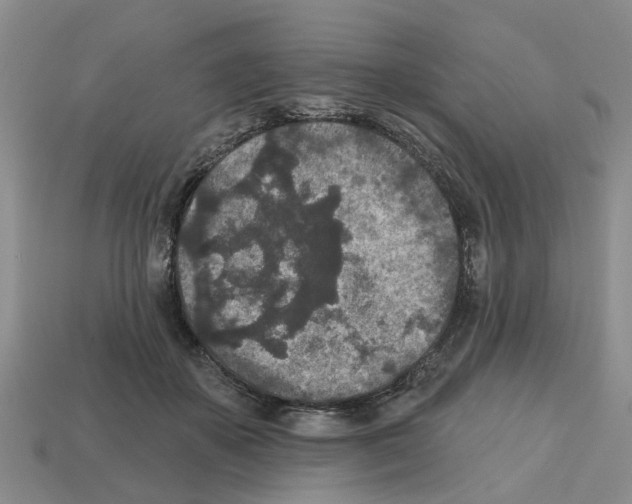 X0000112800507200910021123