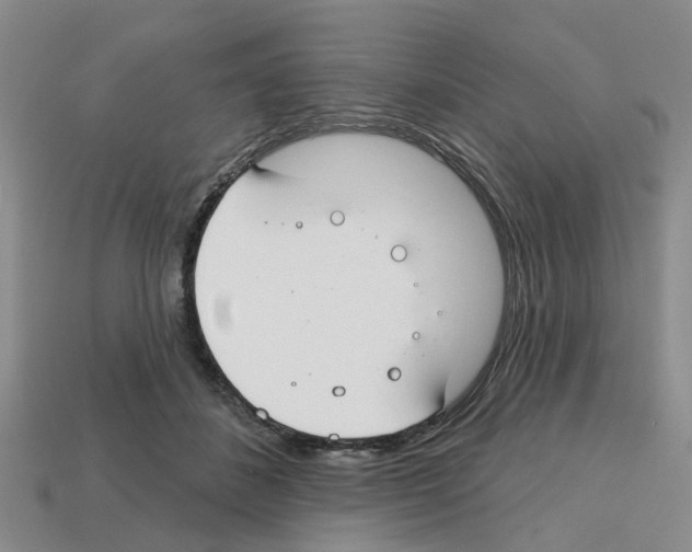 X0000112800508200910021123