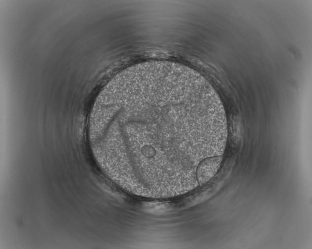 X0000112800511200910021123