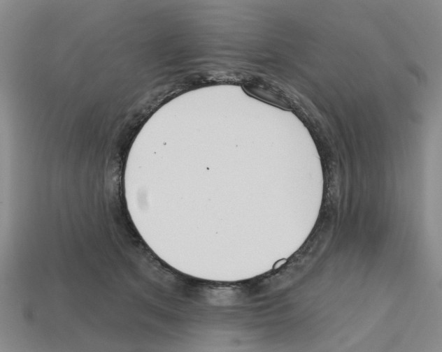 X0000112800513200910021123