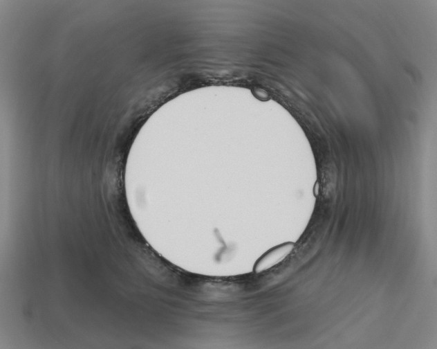 X0000112800515200910021122