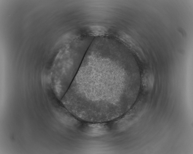 X0000112800516200910021122