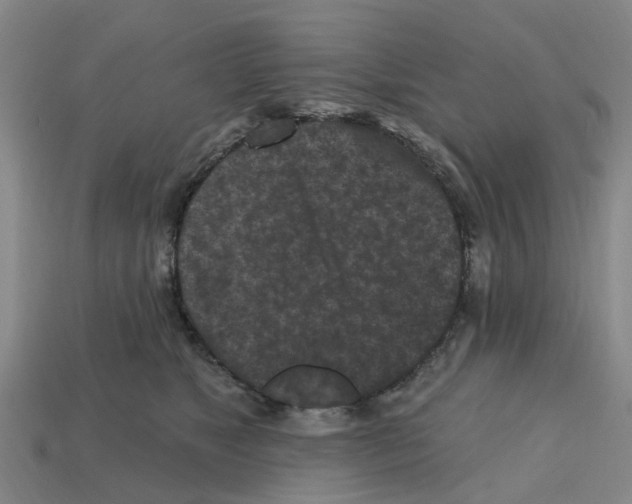 X0000112800517200910021122