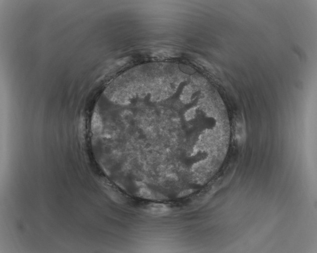 X0000112800519200910021122