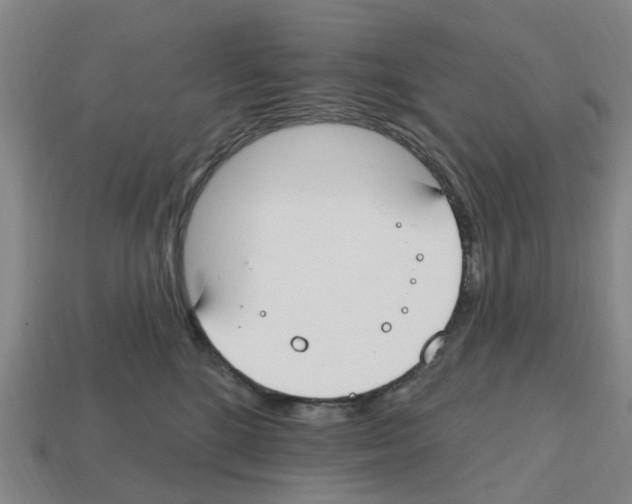 X0000112800520200910021122