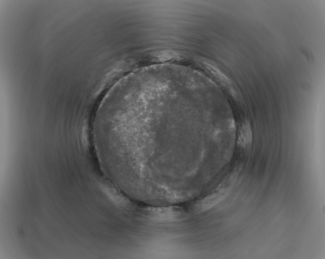 X0000112800524200910021122
