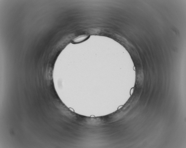 X0000112800525200910021122