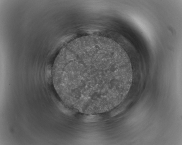 X0000112800527200910021122