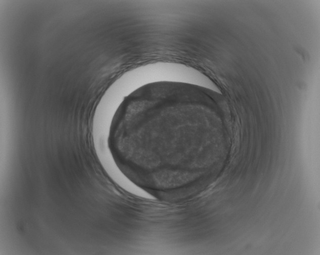 X0000112800528200910021122