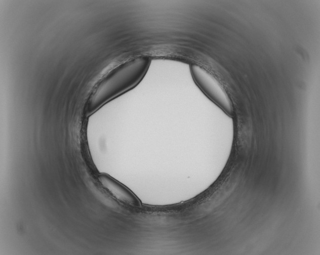 X0000112800530200910021122