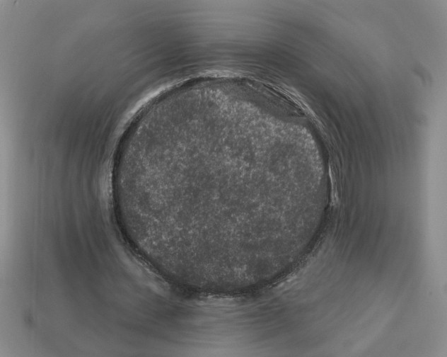 X0000112800531200910021122