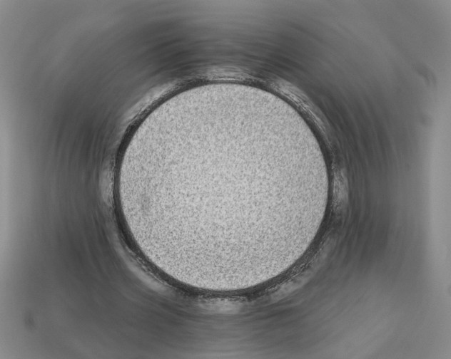 X0000112800533200910021122