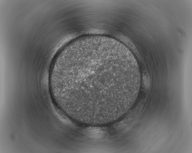 X0000112800534200910021122