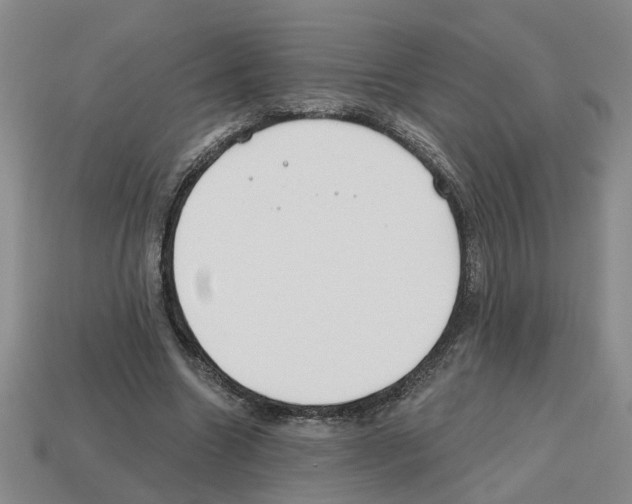 X0000112800538200910021122