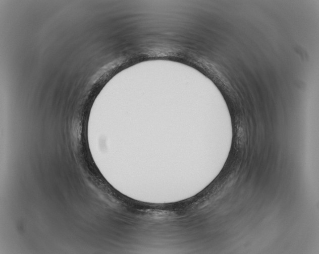 X0000112800539200910021122