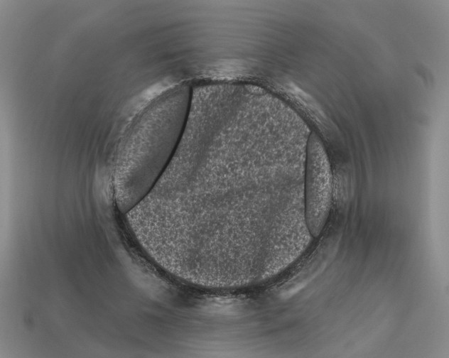 X0000112800540200910021122