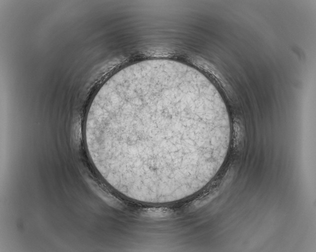 X0000112800541200910021122