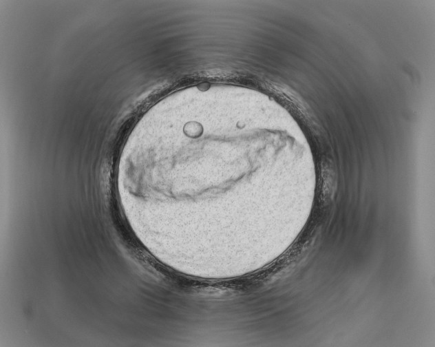 X0000112800542200910021122