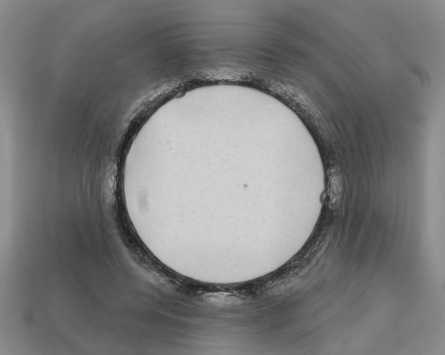 X0000112800544200910021122