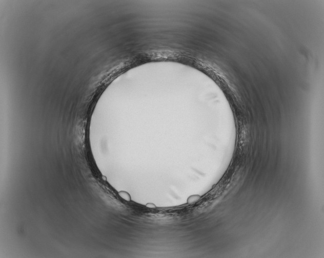 X0000112800545200910021122