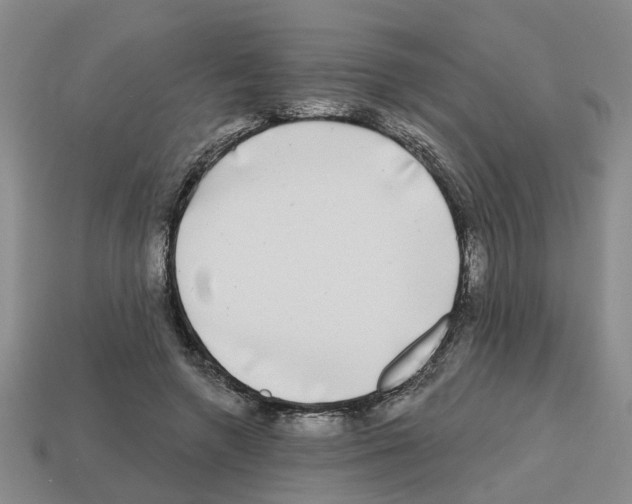 X0000112800546200910021122