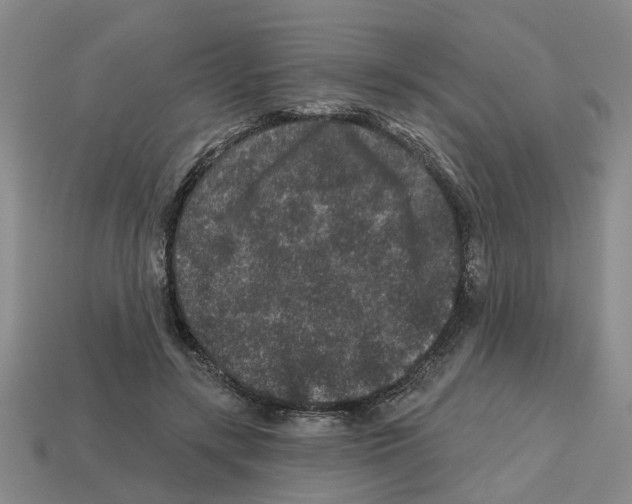X0000112800547200910021122