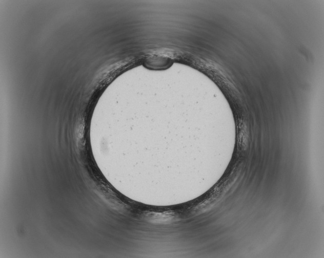 X0000112800548200910021122