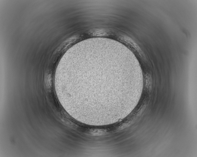 X0000112800549200910021122