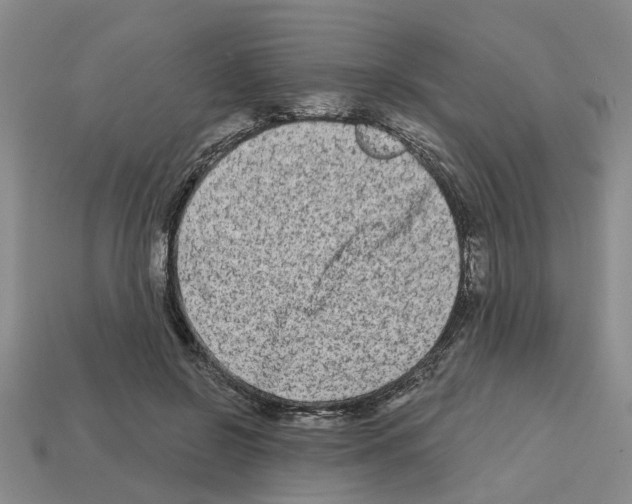 X0000112800550200910021122