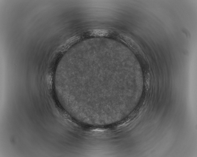 X0000112800551200910021122