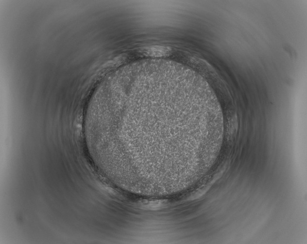 X0000112800553200910021122