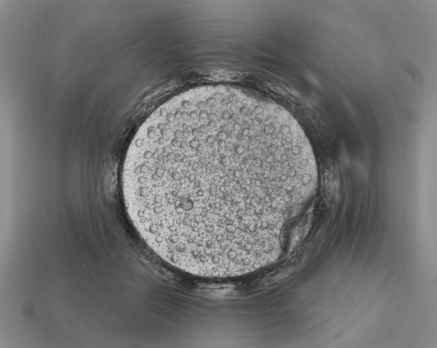 X0000112800554200910021122