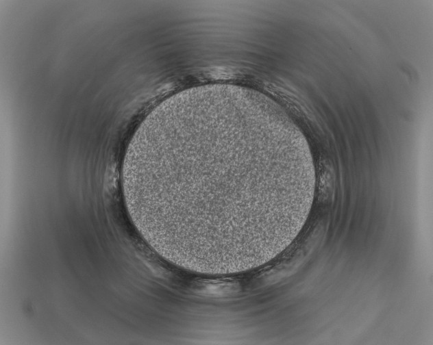 X0000112800555200910021122